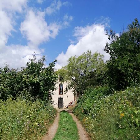 La Peonia Casa Vacanze In Montagna Prato Verde Panorama Stupendo Sardegna Seulo ภายนอก รูปภาพ