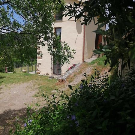 La Peonia Casa Vacanze In Montagna Prato Verde Panorama Stupendo Sardegna Seulo ภายนอก รูปภาพ
