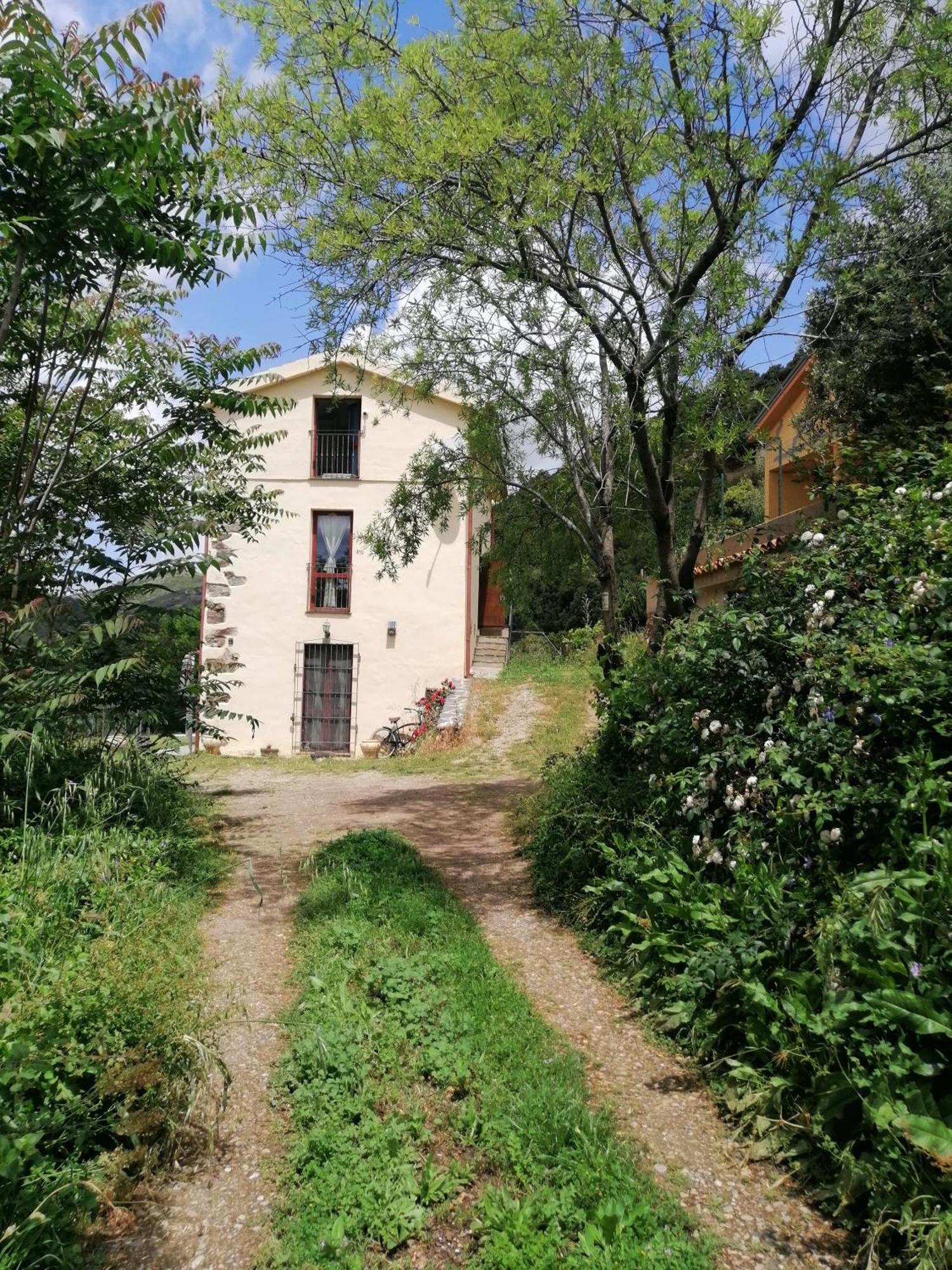 La Peonia Casa Vacanze In Montagna Prato Verde Panorama Stupendo Sardegna Seulo ภายนอก รูปภาพ