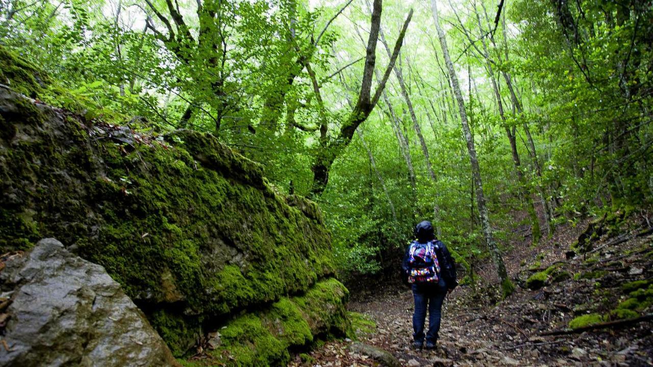 La Peonia Casa Vacanze In Montagna Prato Verde Panorama Stupendo Sardegna Seulo ภายนอก รูปภาพ