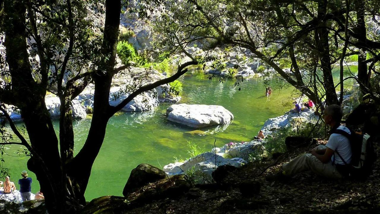La Peonia Casa Vacanze In Montagna Prato Verde Panorama Stupendo Sardegna Seulo ภายนอก รูปภาพ