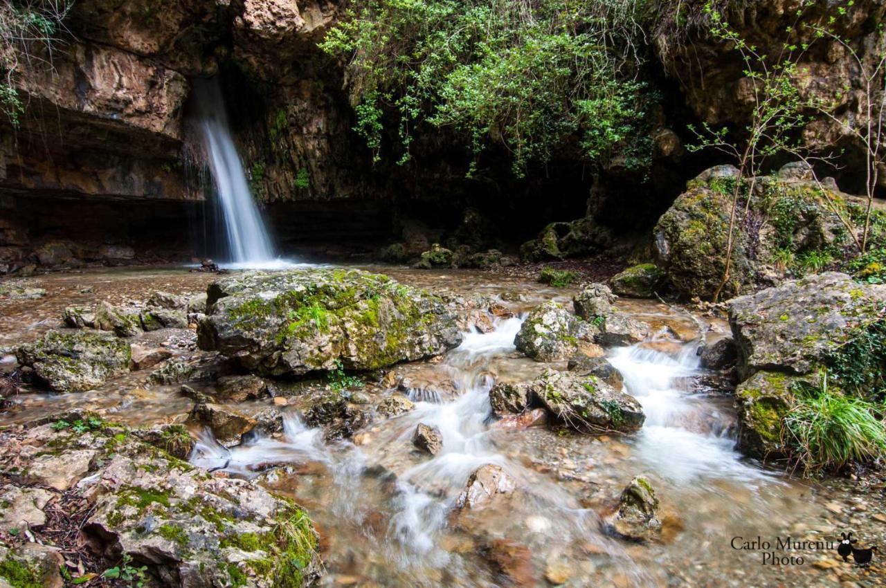 La Peonia Casa Vacanze In Montagna Prato Verde Panorama Stupendo Sardegna Seulo ภายนอก รูปภาพ
