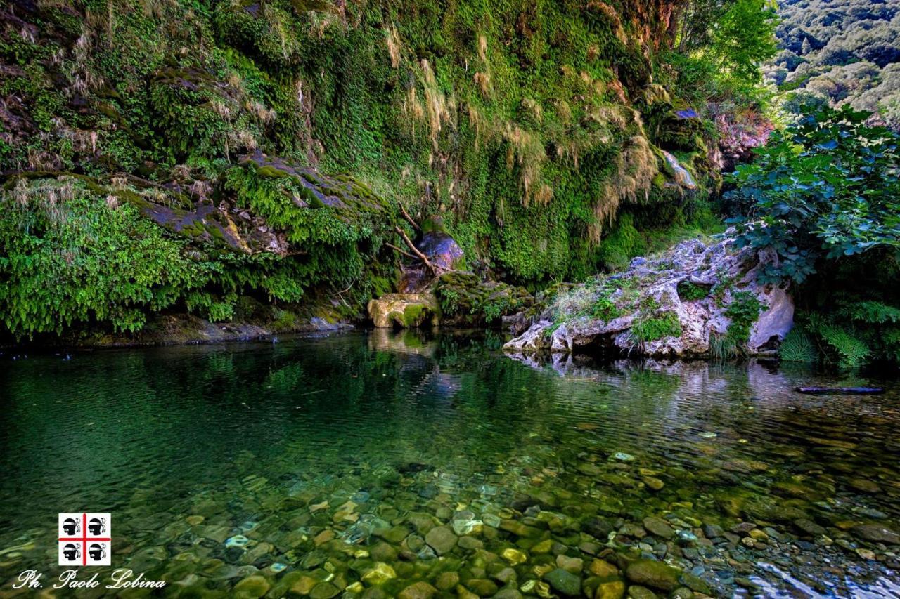 La Peonia Casa Vacanze In Montagna Prato Verde Panorama Stupendo Sardegna Seulo ภายนอก รูปภาพ